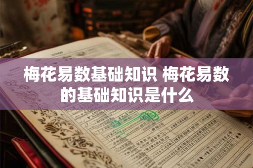 梅花易数基础知识 梅花易数的基础知识是什么