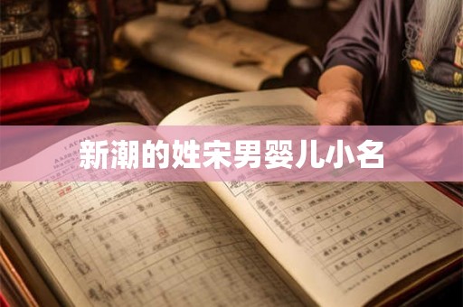 新潮的姓宋男婴儿小名