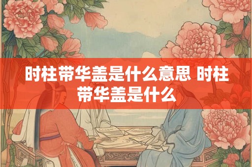时柱带华盖是什么意思 时柱带华盖是什么