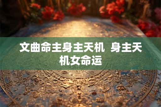 文曲命主身主天机  身主天机女命运