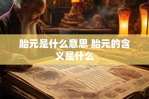 胎元是什么意思 胎元的含义是什么