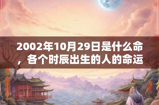 2002年10月29日是什么命，各个时辰出生的人的命运