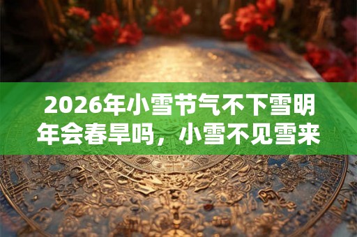 2026年小雪节气不下雪明年会春旱吗，小雪不见雪来年长工歇