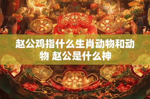 赵公鸡指什么生肖动物和动物 赵公是什么神