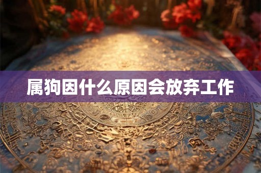 属狗因什么原因会放弃工作