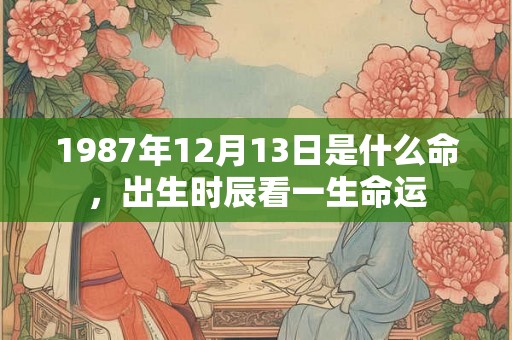 1987年12月13日是什么命，出生时辰看一生命运