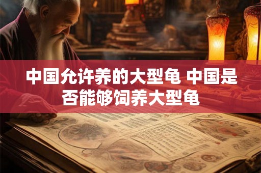 中国允许养的大型龟 中国是否能够饲养大型龟 中国允许养的大型龟 中国是否能够饲养大型龟