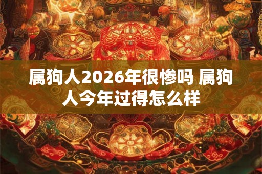 属狗人2026年很惨吗 属狗人今年过得怎么样