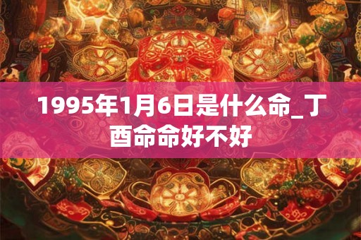 1995年1月6日是什么命_丁酉命命好不好