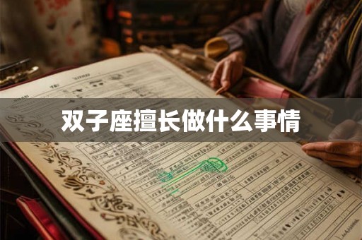 双子座擅长做什么事情