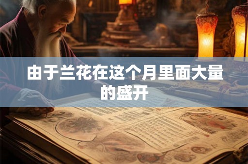 由于兰花在这个月里面大量的盛开 由于兰花在这个月里面大量的盛开
