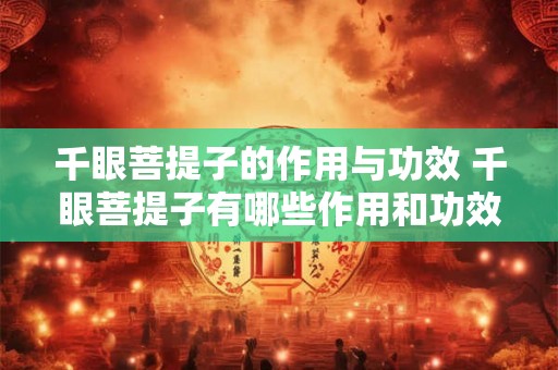 千眼菩提子的作用与功效 千眼菩提子有哪些作用和功效呢