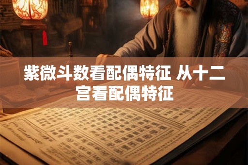 紫微斗数看配偶特征 从十二宫看配偶特征 紫微斗数看配偶特征 从十二宫看配偶特征