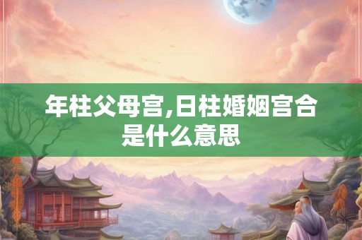 年柱父母宫,日柱婚姻宫合是什么意思