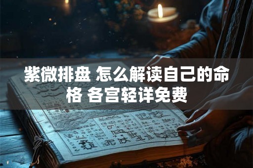 紫微排盘 怎么解读自己的命格 各宫轻详免费