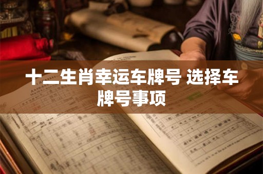 十二生肖幸运车牌号 选择车牌号事项