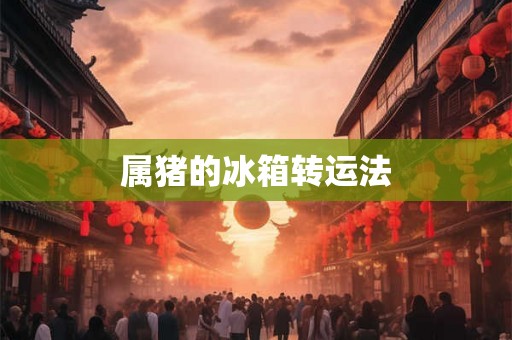 属猪的冰箱转运法