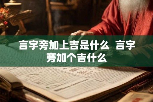 言字旁加上吉是什么  言字旁加个吉什么