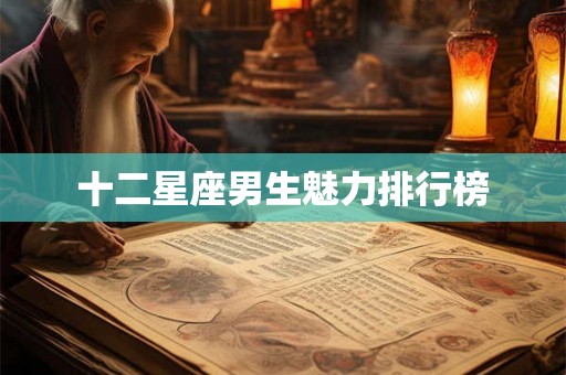 十二星座男生魅力排行榜