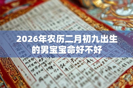 2026年农历二月初九出生的男宝宝命好不好