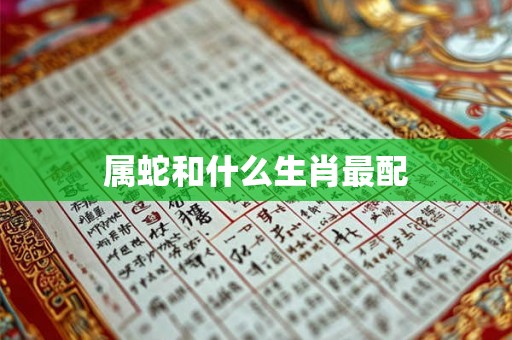 属蛇和什么生肖最配