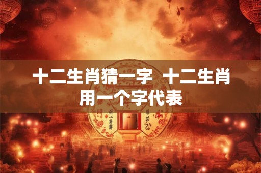 十二生肖猜一字  十二生肖用一个字代表