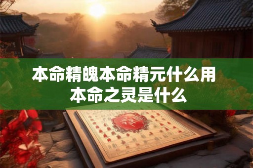 本命精魄本命精元什么用 本命之灵是什么 本命精魄本命精元什么用 本命之灵是什么