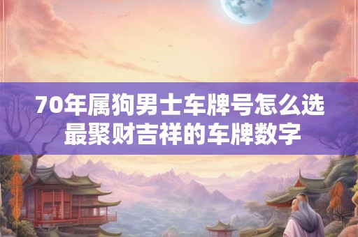 70年属狗男士车牌号怎么选 最聚财吉祥的车牌数字