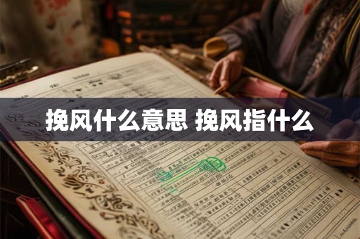 挽风什么意思 挽风指什么 挽风什么意思 挽风指什么