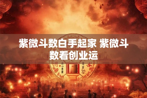 紫微斗数白手起家 紫微斗数看创业运