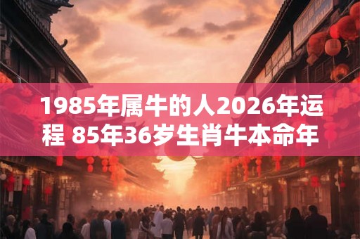 1985年属牛的人2026年运程 85年36岁生肖牛本命年运势