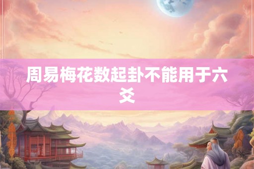 周易梅花数起卦不能用于六爻