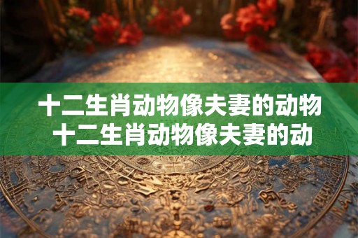 十二生肖动物像夫妻的动物 十二生肖动物像夫妻的动物是 十二生肖动物像夫妻的动物 十二生肖动物像夫妻的动物是