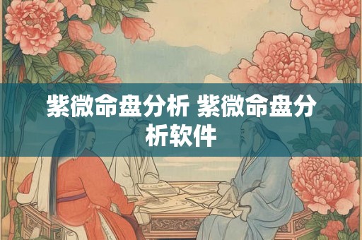 紫微命盘分析 紫微命盘分析软件