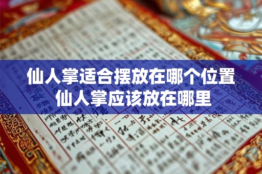 仙人掌适合摆放在哪个位置 仙人掌应该放在哪里