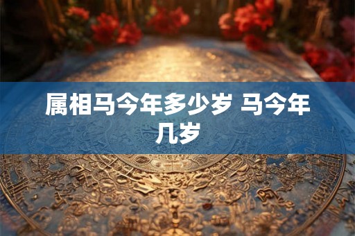 属相马今年多少岁 马今年几岁
