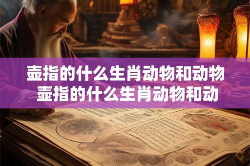 壶指的什么生肖动物和动物 壶指的什么生肖动物和动物 壶指的什么生肖动物和动物 壶指的什么生肖动物和动物