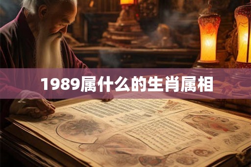 1989属什么的生肖属相