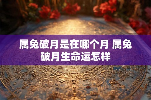 属兔破月是在哪个月 属兔破月生命运怎样 属兔破月是在哪个月 属兔破月生命运怎样