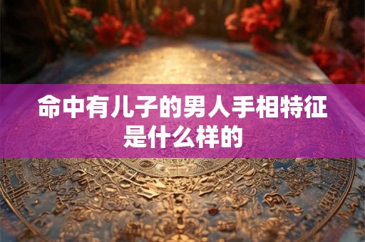 命中有儿子的男人手相特征是什么样的 命中有儿子的男人手相特征是什么样的