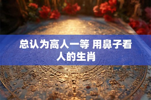 总认为高人一等 用鼻子看人的生肖