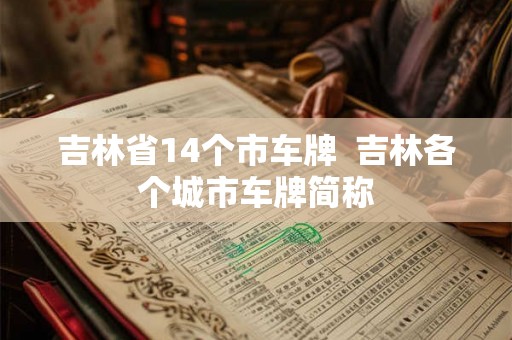 吉林省14个市车牌  吉林各个城市车牌简称