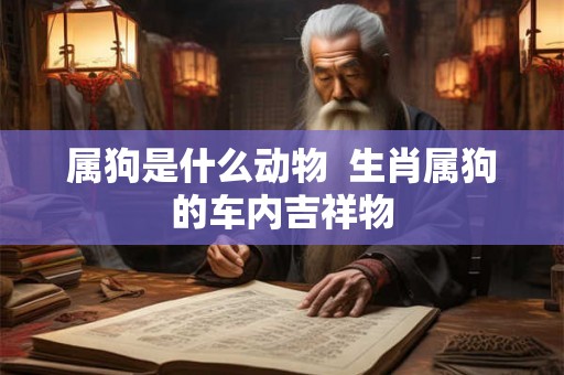 属狗是什么动物  生肖属狗的车内吉祥物