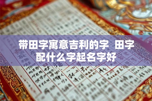 带田字寓意吉利的字  田字配什么字起名字好