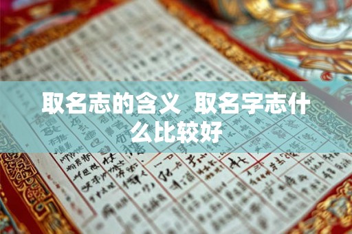 取名志的含义  取名字志什么比较好