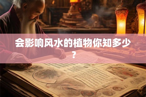 会影响风水的植物你知多少？
