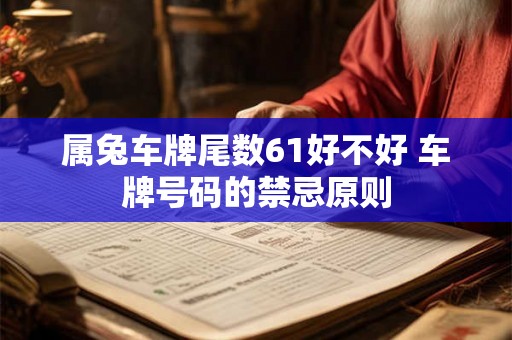 属兔车牌尾数61好不好 车牌号码的禁忌原则
