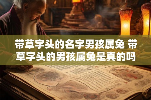带草字头的名字男孩属兔 带草字头的男孩属兔是真的吗