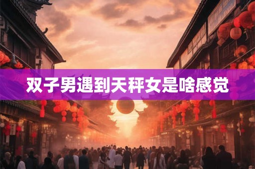 双子男遇到天秤女是啥感觉