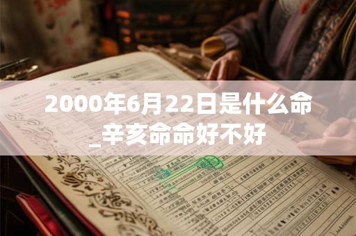 2000年6月22日是什么命_辛亥命命好不好